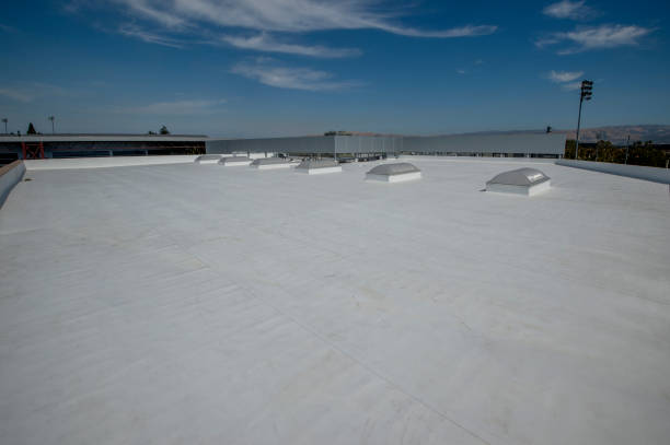 Best Gutter Replacement  in Pecos, TX