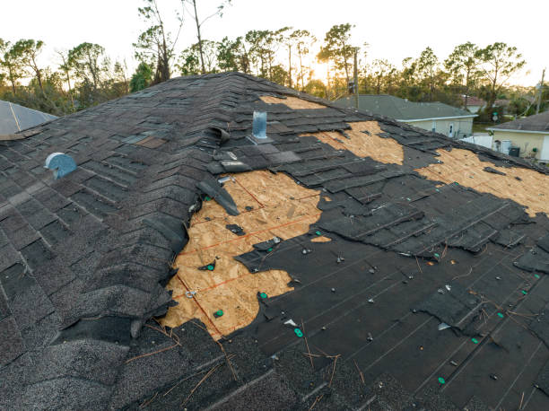 Best Asphalt Shingles Roofing  in Pecos, TX