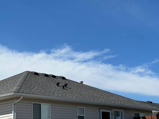 Best Sheet Metal Roofing  in Pecos, TX